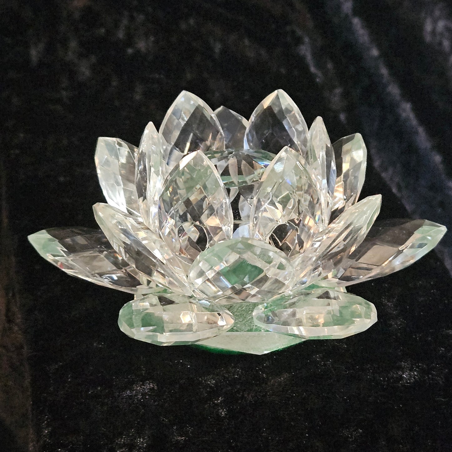 Lotus paperweight