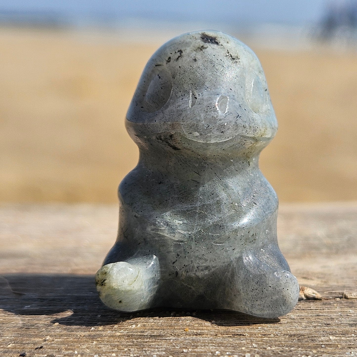 Labradorite Charmander